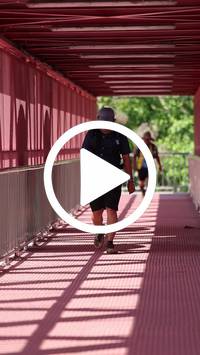 BIB:  <button type="button" onclick="openModal(27526487)" class="btn btn-primary btn-sm float-right" data-toggle="modal" data-target=".modal-high-quality">
                <i class="fa fa-download"></i> Download
                </button>